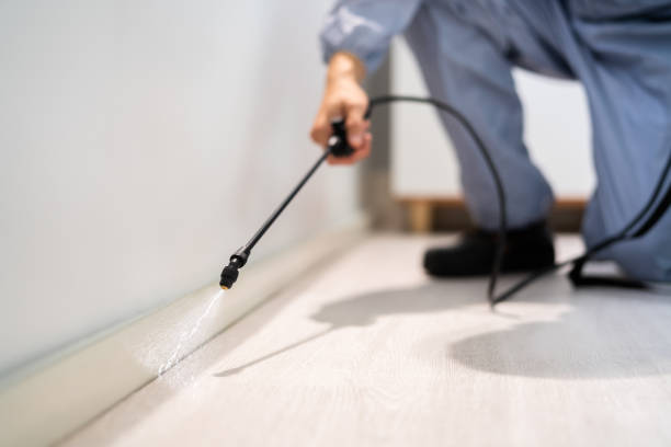 Licensed Pest Control service in Braddock, PA - Nex Pest Control
