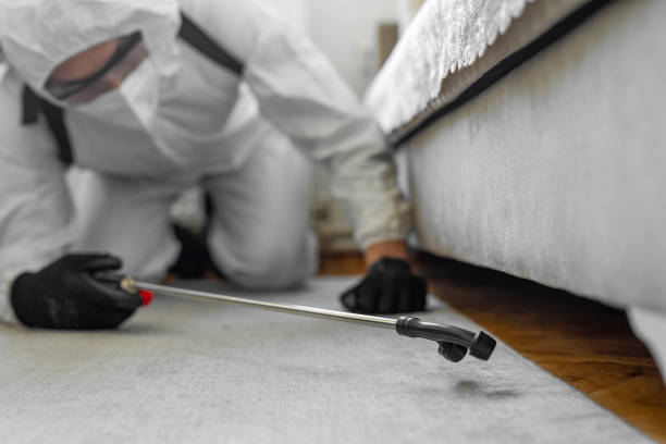 Professional Pest Control technician working in Braddock, PA