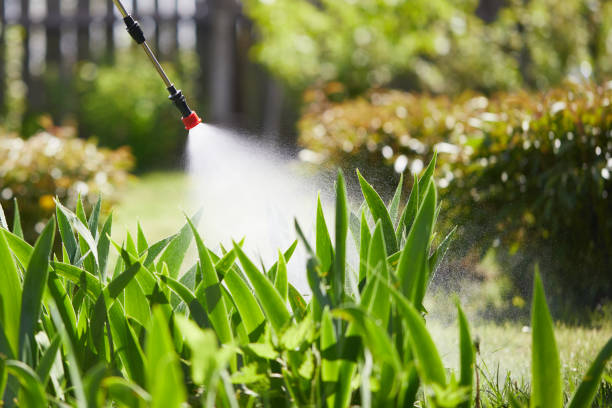 24/7 Emergency Pest Control experts in Braddock, PA