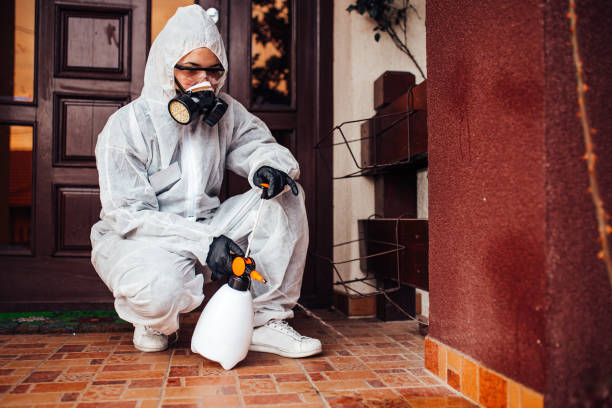 Reliable Pest Control contractor in Braddock, PA by Nex Pest Control